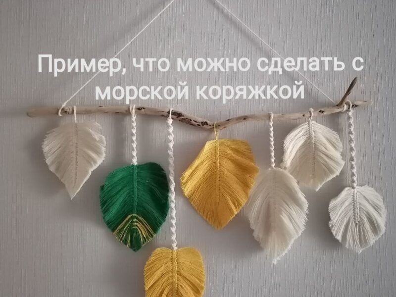 Продам дрифтвуд (морские коряжки) для декора интерьера или поделок.